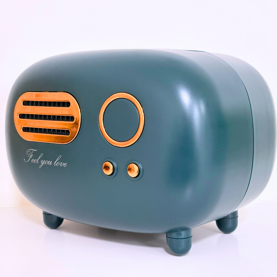 Retro Taschentuchspender in Grün