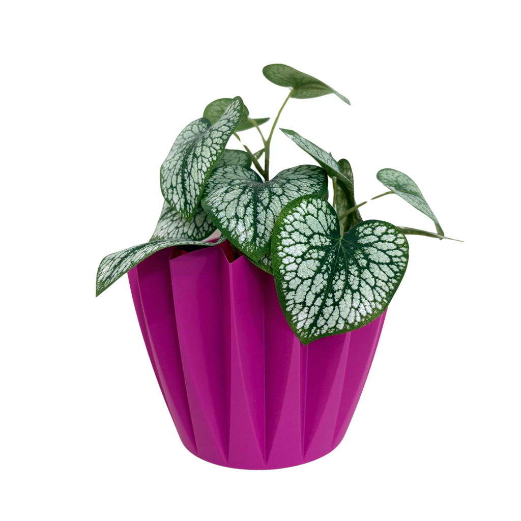 Übertopf Color Boost