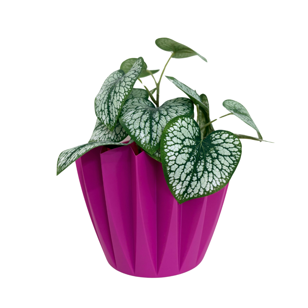 Übertopf Color Boost
