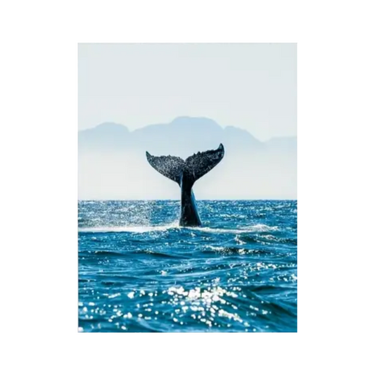 Ocean Leinwanddruck