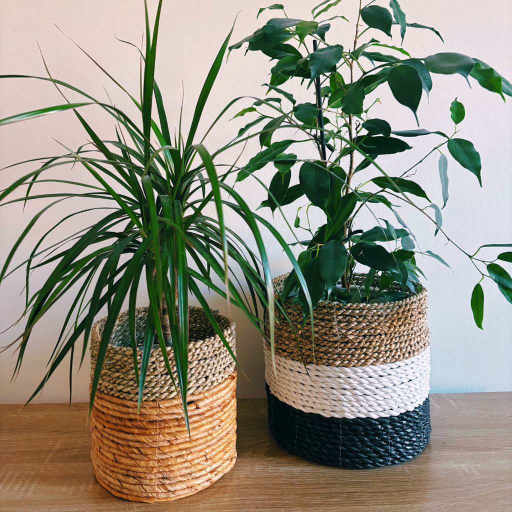 Tricolor-Korb
